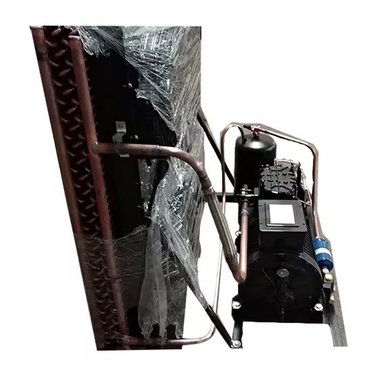 Cold Room Refrigeration Condenser Equipment Piston Refriger Compressor Unit
