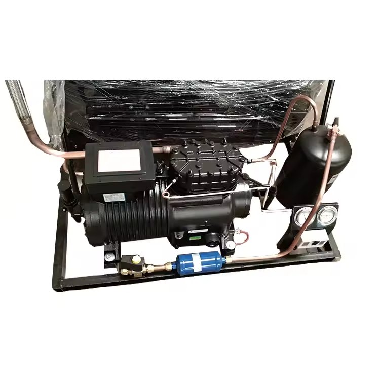 Cold Room Refrigeration Condenser Equipment Piston Refriger Compressor Unit