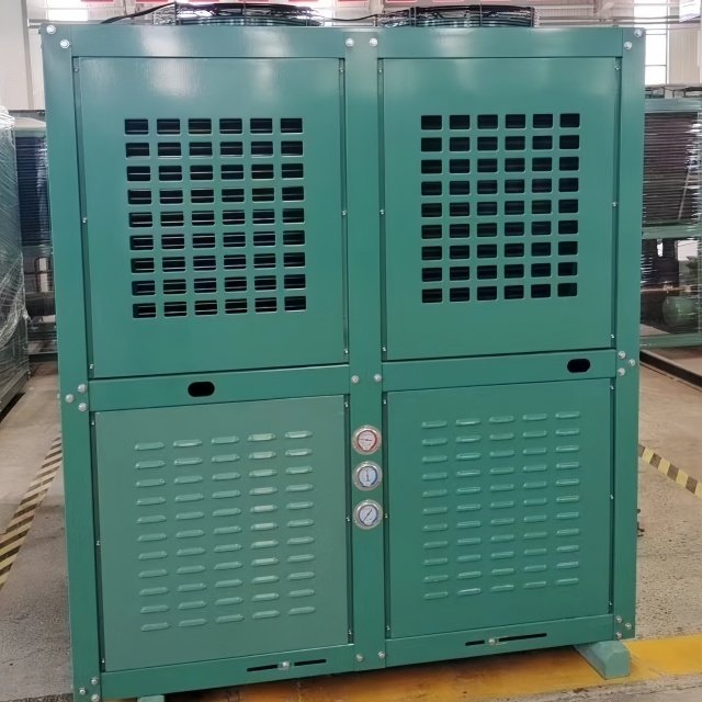 5hp/8hp/10hp/12hp/15hp/20hp Walk in Cooler Refrigeration Unit Cold Room Air Cooled Unit Condensation for Cold Storage