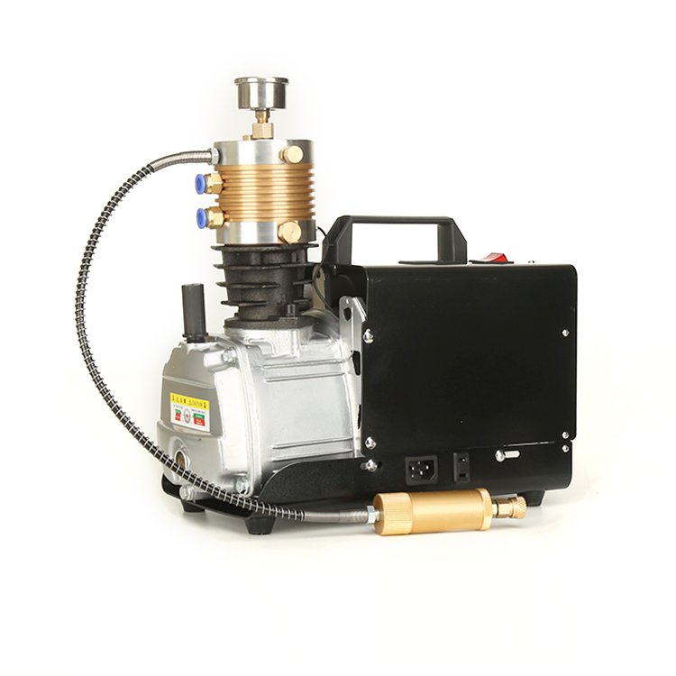 Portable Electric Pcp 300bar 4500psi air Gun High Pressure air Compressor