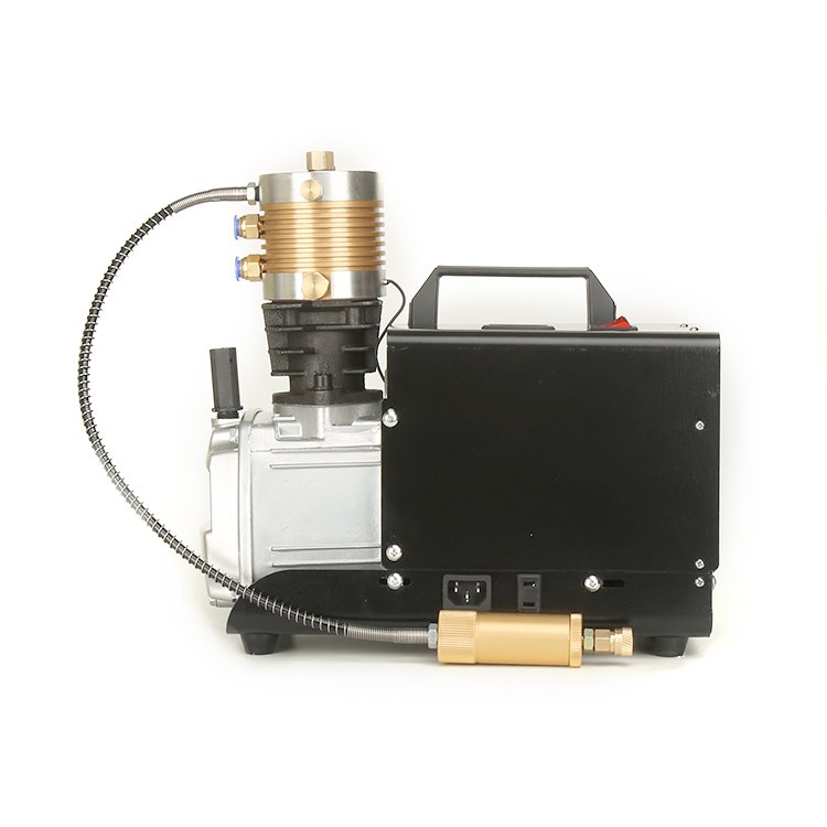 Portable Electric Pcp 300bar 4500psi air Gun High Pressure air Compressor