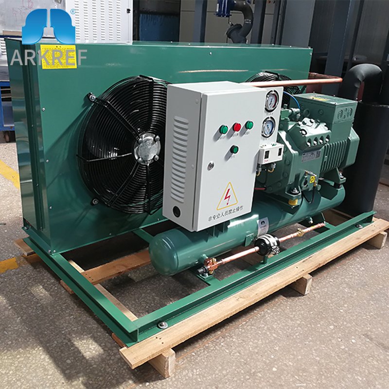 ARKREF Industrial R404 Air Cooled Condensing Unit Cold Storage Air Condensing Unit