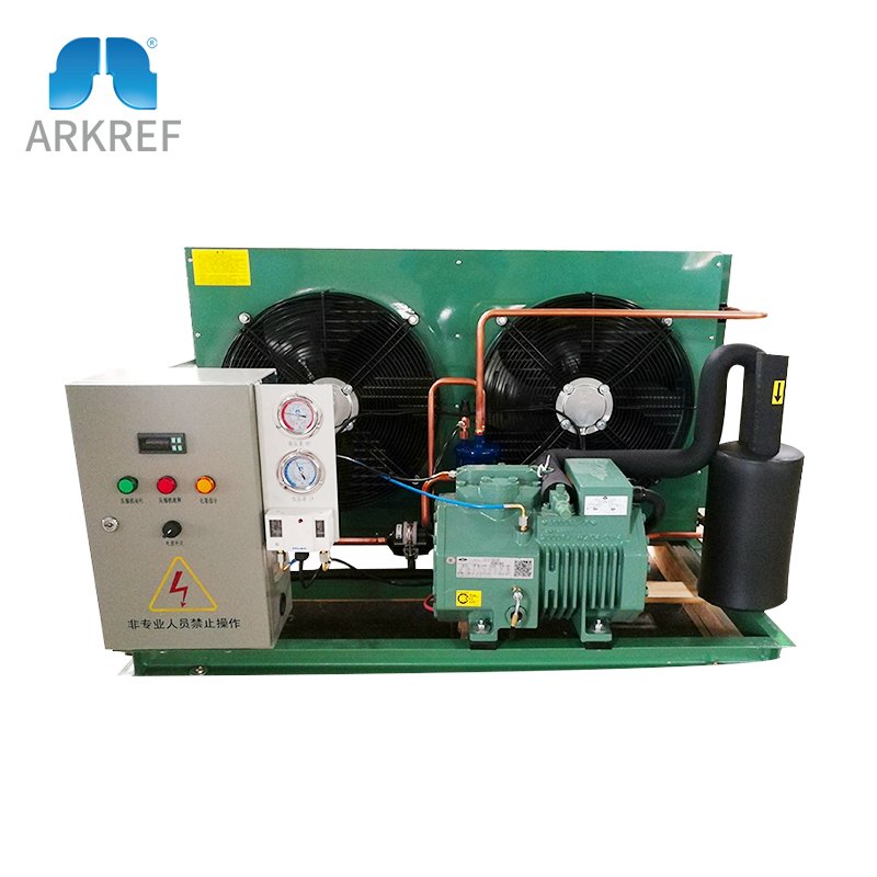 ARKREF Industrial R404 Air Cooled Condensing Unit Cold Storage Air Condensing Unit