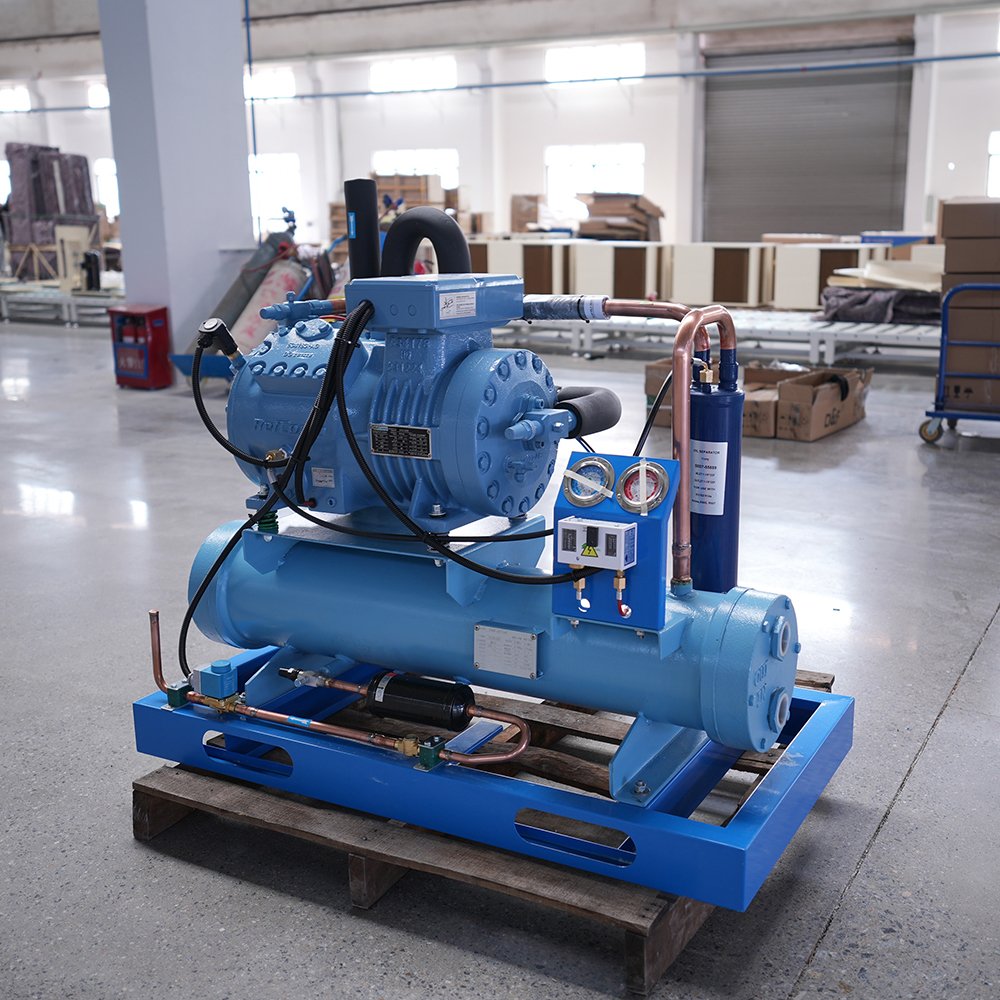 Bitzer 5HP 10HP 15HP Water Cold Plunge Chiller Bitzer Semi Enclosed Reciprocating R404 Compressor Refrigeration Condensing Unit
