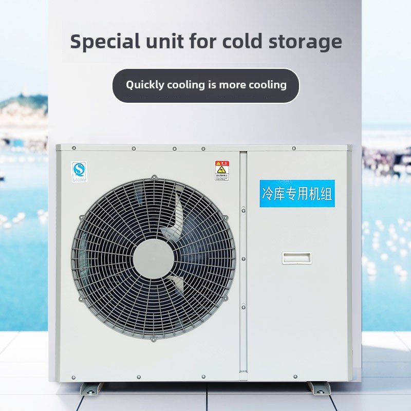 Guangzhou Small Cold Storage Project Sales Installation Air-Cooled Condensing Units Host Construction Refrigeration Unit Cold