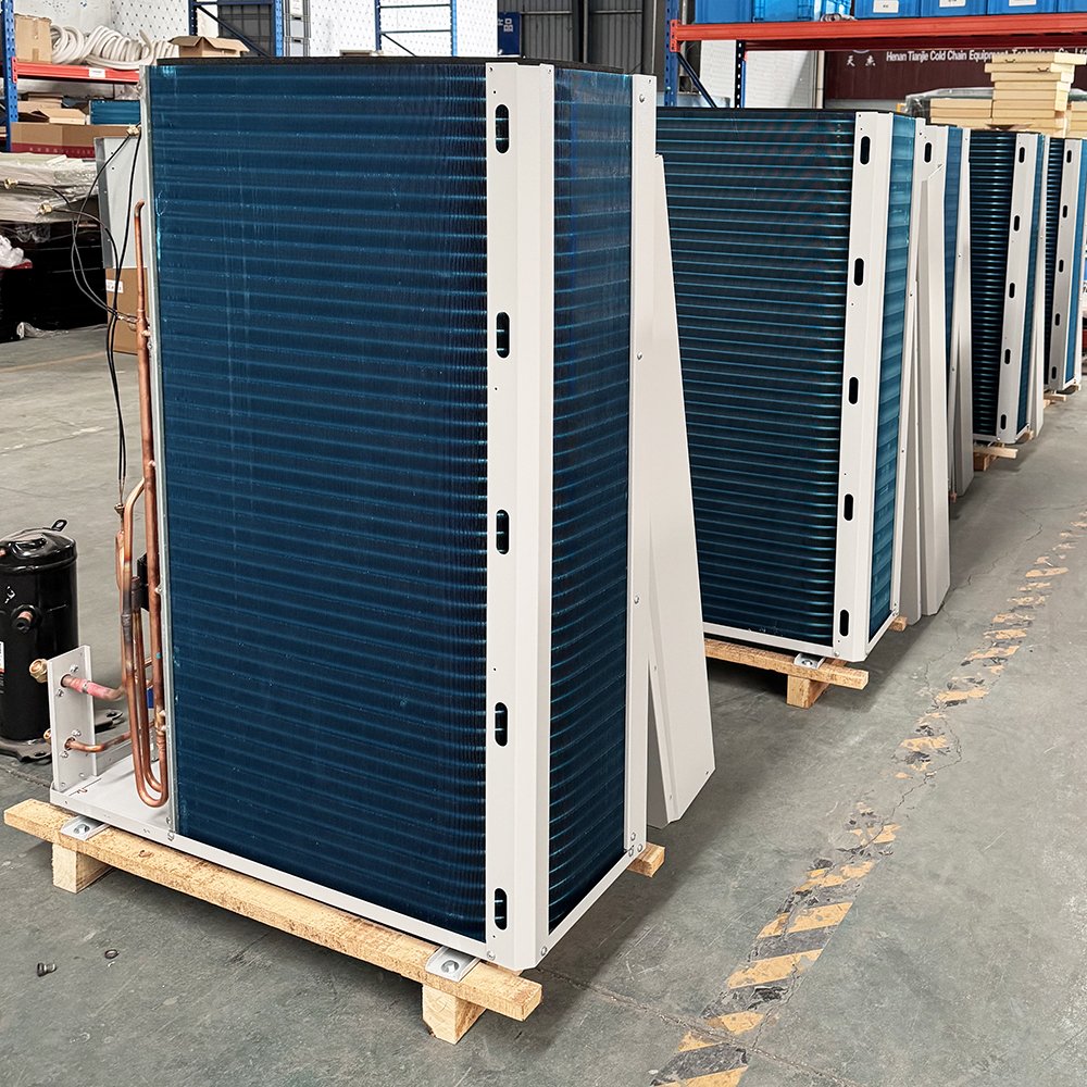 Air Cooled Blast Freezer Refrigeration Unit Cold Room Storage All-in-one Machine for Cold Room