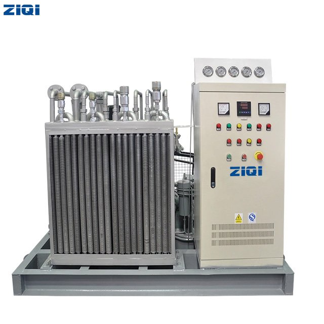 Industrial High Pressure Natural Gas Piston Air Compressor for Gas Filling Station With Water Cooled