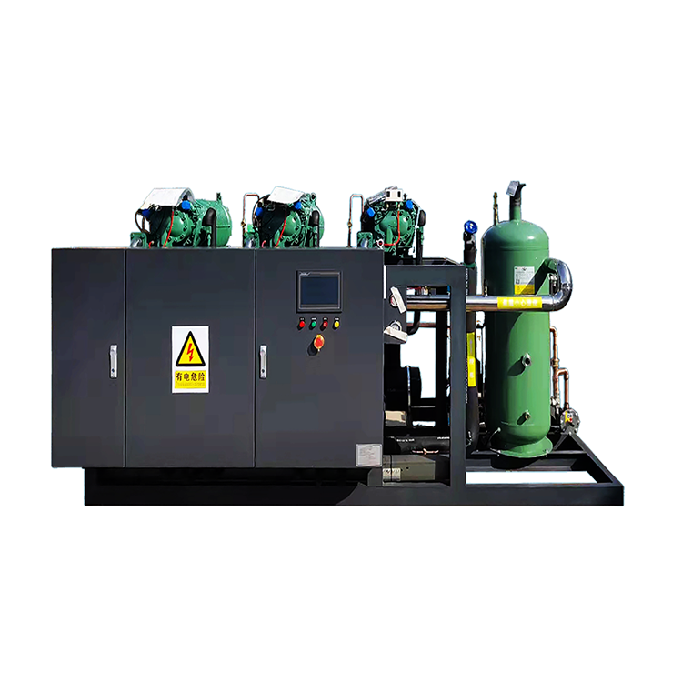 Bitzer Screw Compressor Air-cooled Condensing Unit Refrigeration Unit