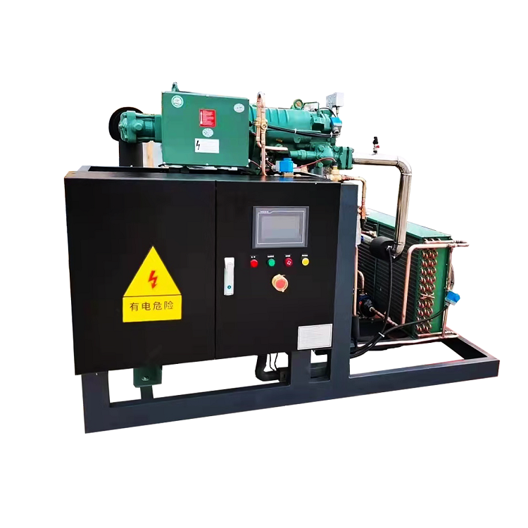 Bitzer Screw Compressor Air-cooled Condensing Unit Refrigeration Unit