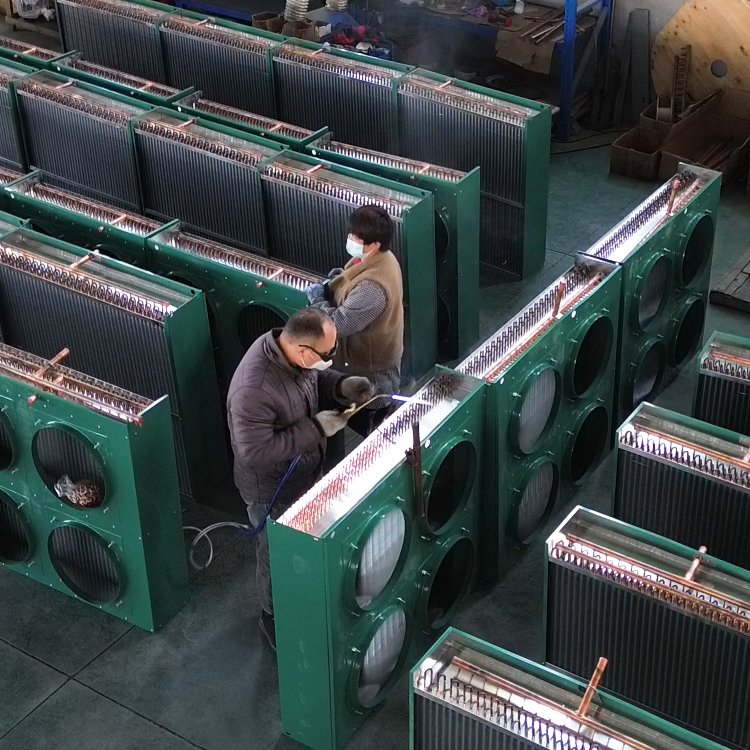Lucky Star Cooling System Refrigerator Heat Exchange Equipment 8HP Air Condensers Cooler Bitzer Semi Hermetic Condensing Unit
