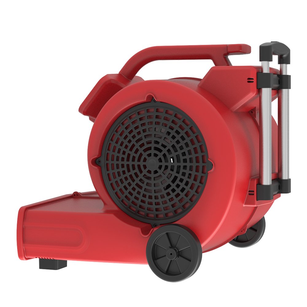 JIENUO 1000W Portable 3 Gears Air Dryer Blower for Carpet Floor Ground Blow Fan Dryer with Low Noise JN-C6-K