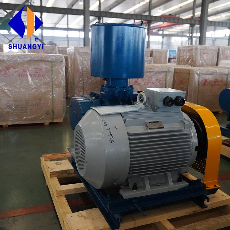 40 years Factory Direct Driven 15hp Small Air Bower Roots Rotary Lobe Blower Vacuum Pumps