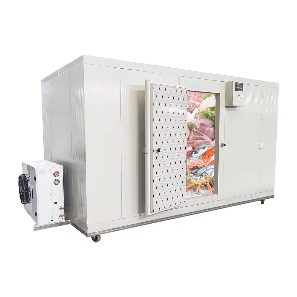 2024 Hot Selling Cold Storage Manufacturer Mini Coldroom Container Blast Freezer Walk in Freezer Mobile Cold Room for Food