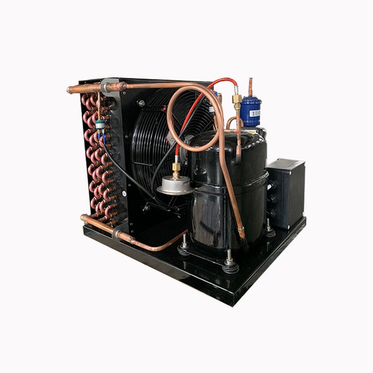 EMTH 2HP 3HP 5HP 8HP Refrigeration Unite Cold Room Storage Freezer Air Cooled Condensing Unit Single Phase220v 2hp Freezer Units