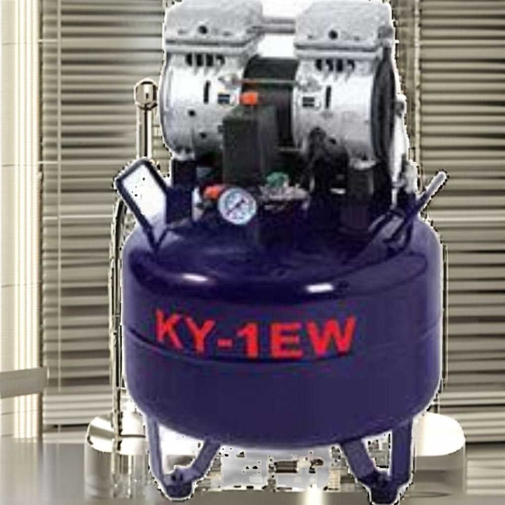 China Dental Supplier's Silent 40L 840 Power 1HP One to Two Oilless Air Compressors Plastic Metal Steel Material Low Price