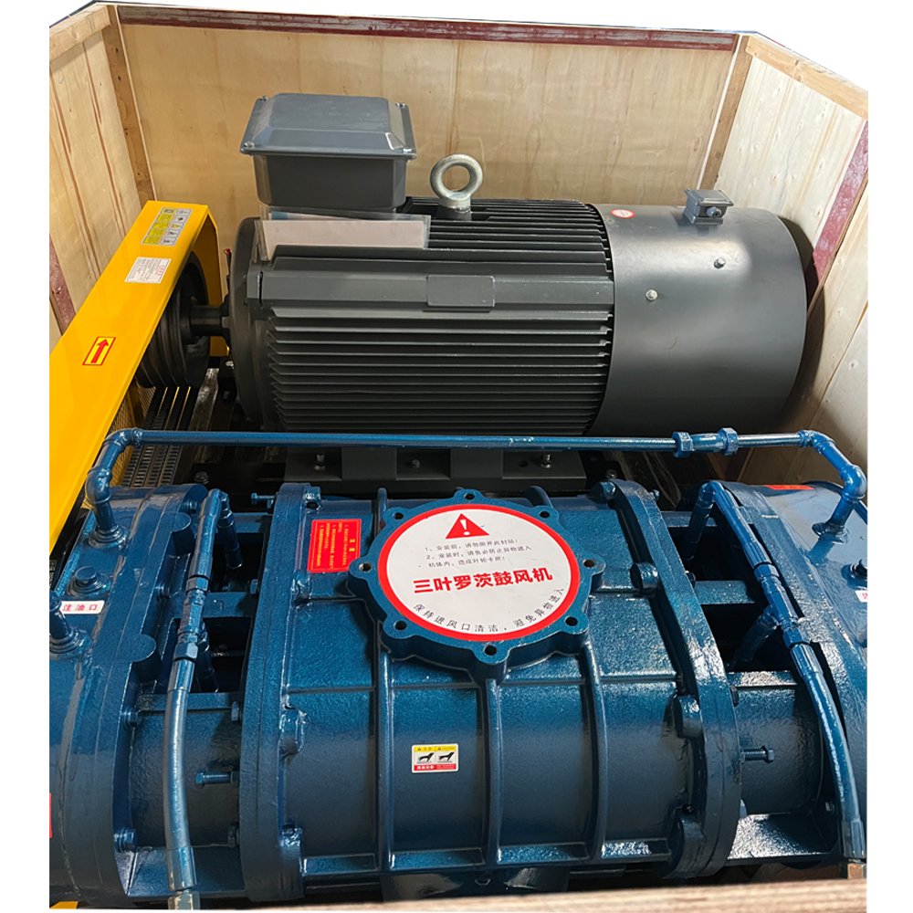 Top Quality Vacuum Pneumatic Pump Air Cooled Cycle Gas Circulating High Capacity Sewage Water Treatment Roots Vacuum Pump