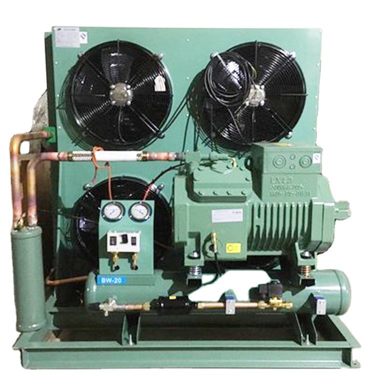 High Quality Compressor Air Cooled Condensing Unit New Walk-In Freezer with Refrigeration Cold Rooms Marine Industries