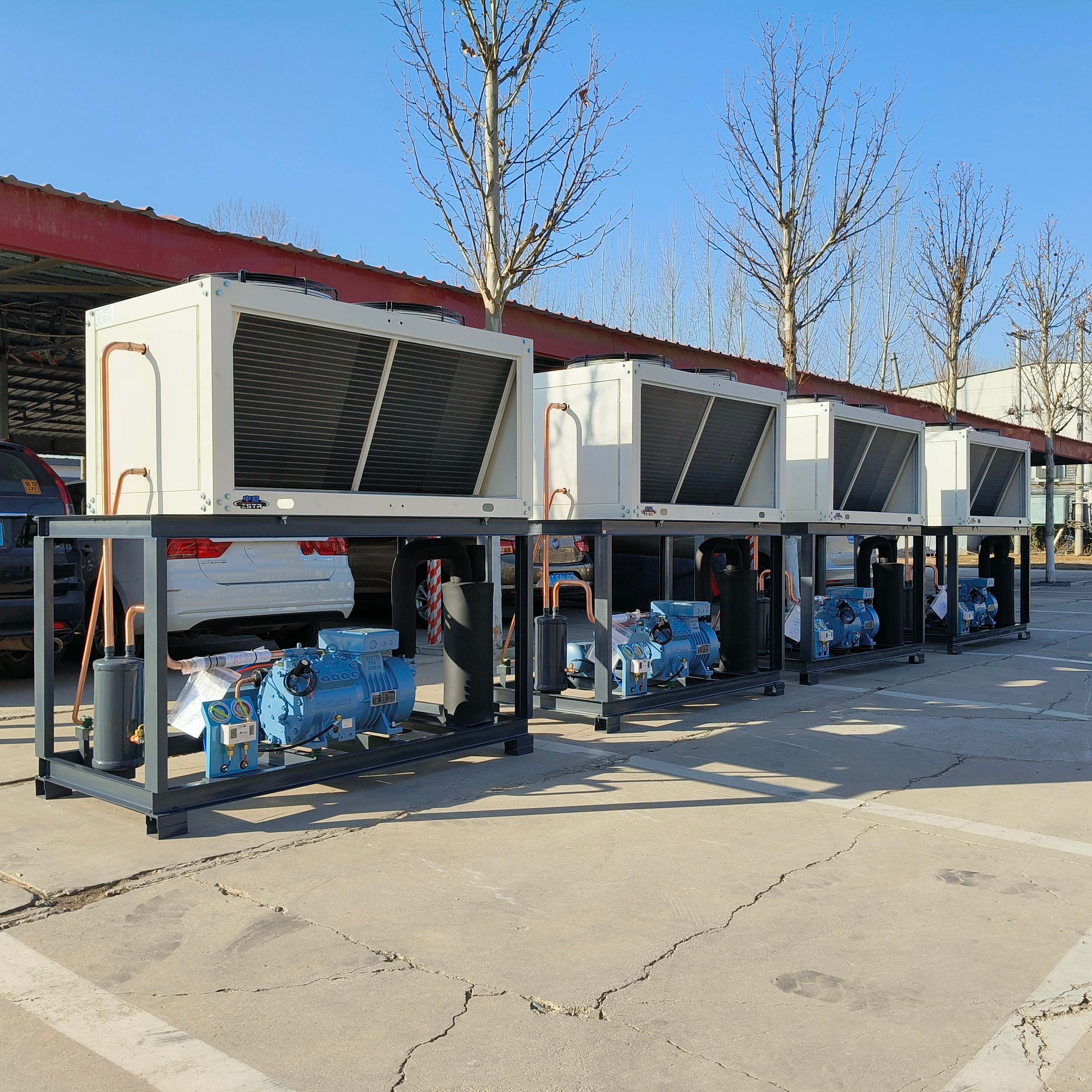 Hot Sale Cold Room Cold Storage High Performance Two Stage RefComp Compressor Air Cooled Condensing Unit