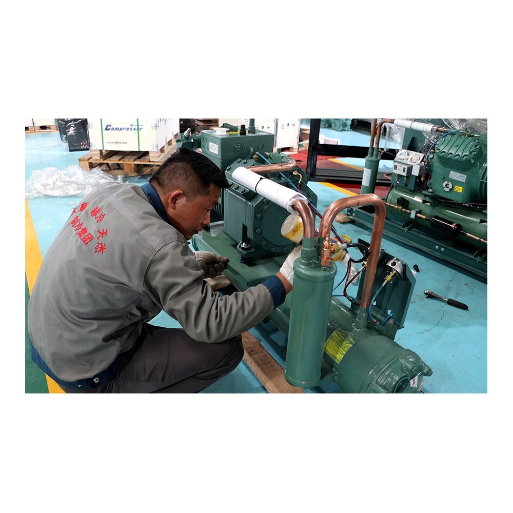 Industrial Refrigeration Equipment Cold Storage High Performance Two Stage Compressor Air Cooled Condensing Unit