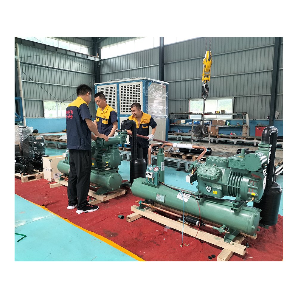 Industrial Refrigeration Equipment Cold Storage High Performance Two Stage Compressor Air Cooled Condensing Unit