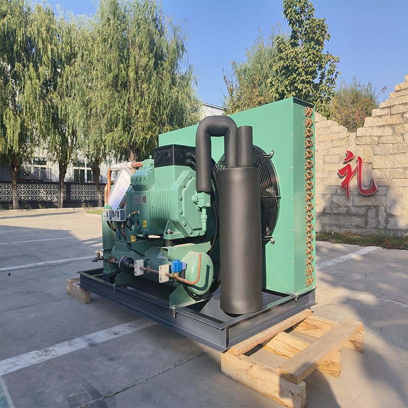 R290/380V 2 hp 3 hp 5 hp Hot Sale Cold Room Cold Storage High Performance Two Stage Bitzer Compressor Air Cooled Condensing Unit