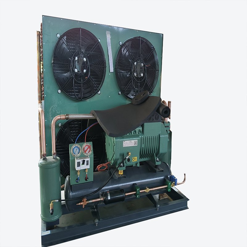 R290/380V 2 hp 3 hp 5 hp Hot Sale Cold Room Cold Storage High Performance Two Stage Bitzer Compressor Air Cooled Condensing Unit