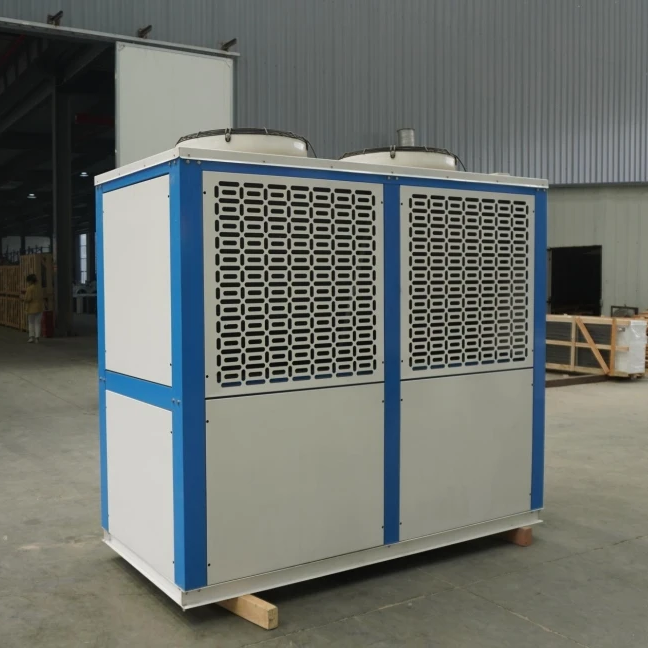 Reliable Custom 20hp Box Type Hermetic Compressor Condensing Unit Air Cooled Condenser for Low Medium Temperature Cold Storage