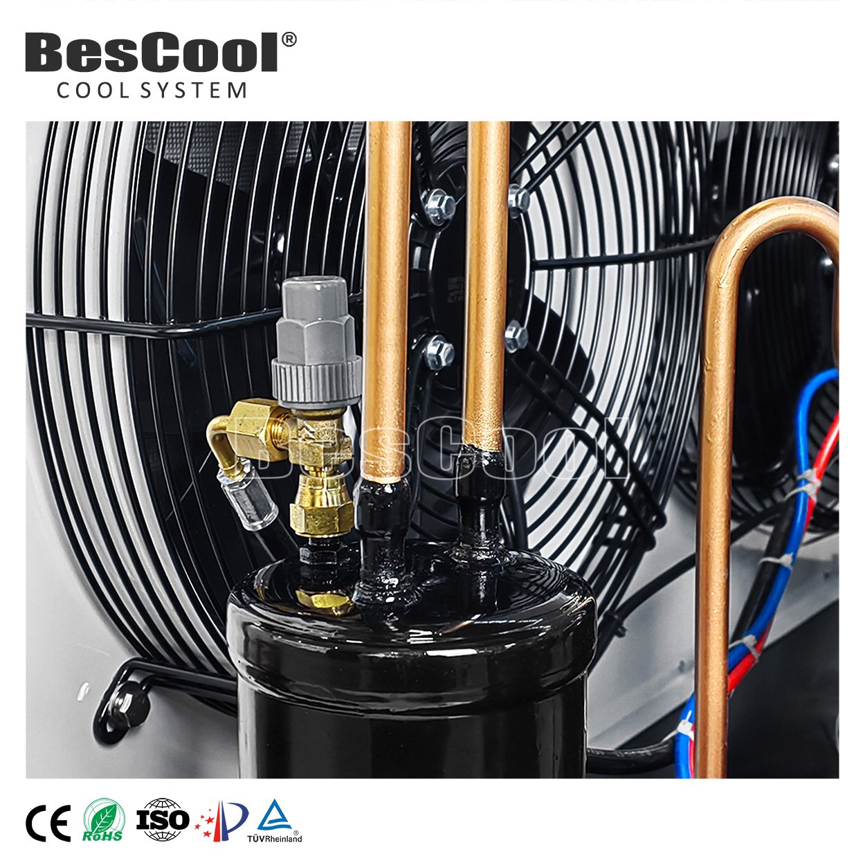 BesCool Open-Air Cooling Chiller Walk-In Freezer Condensing Unit Refrigeration Cold Room Refrigeration Heat Exchange Equipment