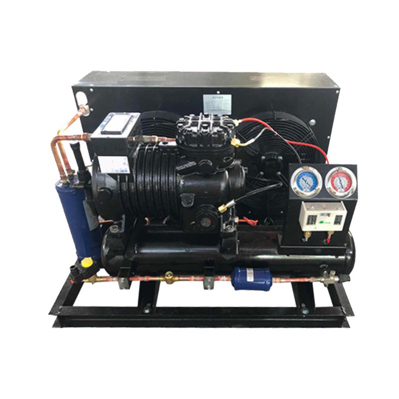 Factory Wholesale 3hp~40hp Air-Cooled Enclosed Condensing Units New Fresh Preservation Refrigeration Unit Restaurant Industries