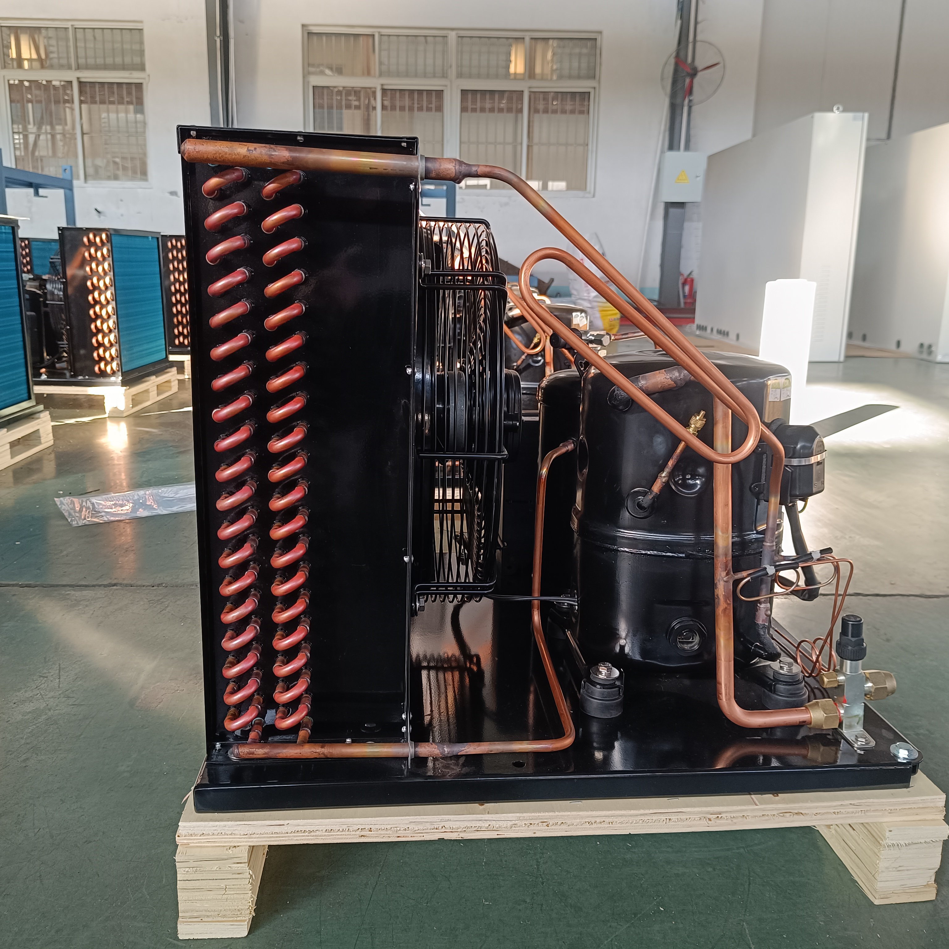 Long-Lasting Air-Cooled Condensing Unit Copeland Energy Saving for Fruit Vegetable Meat Refrigerators Beautiful Appearance