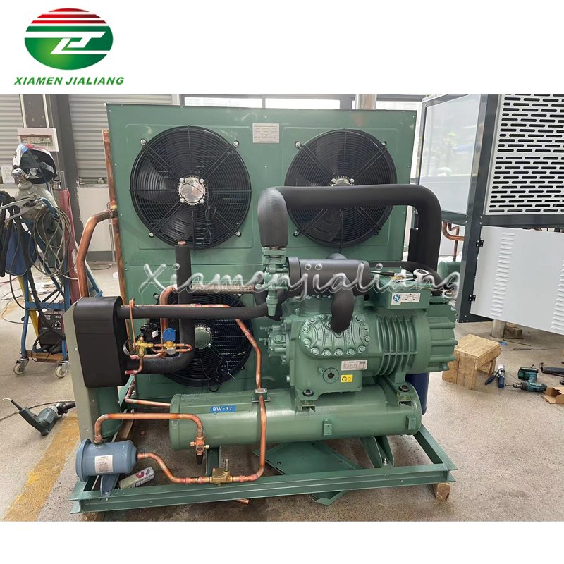 Xiamen Jialiang Cold Room Two Stage Condensing Unit Compressor Refrigeration Unit Compressor Refrigeration