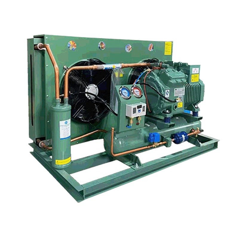 5/6/8/10/12Hp Medium Refrigeration Unit Air Cooled Open Type Cold Storage Compressor Condensing Unit