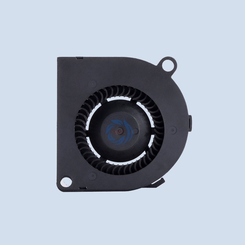 CE RoHS Approved High Air Flow 50x50x20mm 5020 12v DC Cooling Mini Air Blower Fan Cooling Fan Low Noise