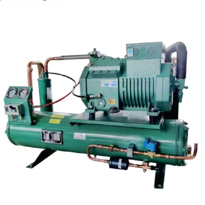 Energy-Saving Freezer Room Cooling Refrigeration Unit Supermarket Applicable Cold Storage Machine Core Components Engine Gear