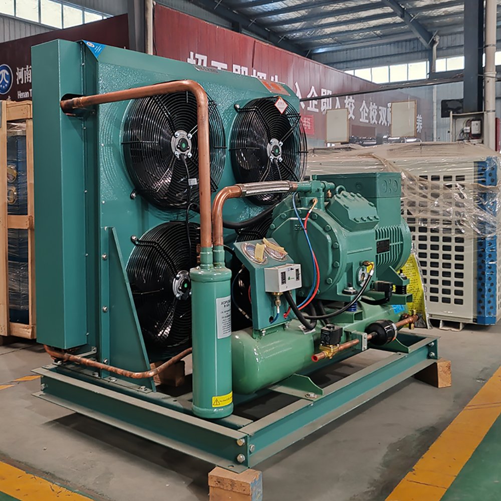Cold Room Cooling System air Cooled Condensing Unit Cold Room Storage Freezer Room Refrigeration Unit
