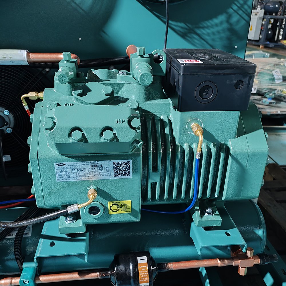 Cold Room Cooling System air Cooled Condensing Unit Cold Room Storage Freezer Room Refrigeration Unit