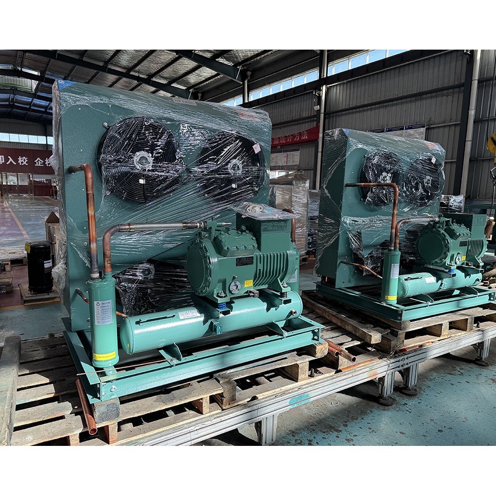 Cold Room Cooling System air Cooled Condensing Unit Cold Room Storage Freezer Room Refrigeration Unit
