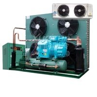 New Technology International Standard China Refrigeration Unit Air-cooled Condenser Compressor Unit