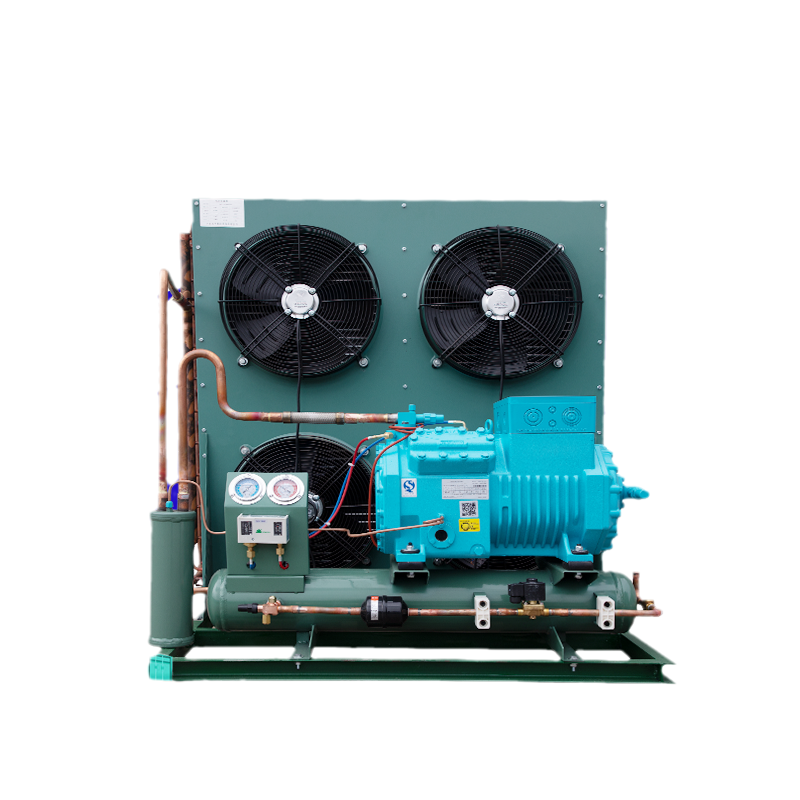 New Technology International Standard China Refrigeration Unit Air-cooled Condenser Compressor Unit