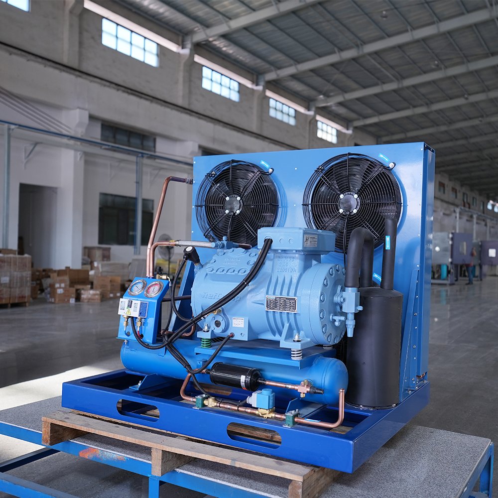New Arrival Industrial Emerson Compressor Condensing Unit Energy Saving R410a Used Cold Room with Motor Gear Core Components