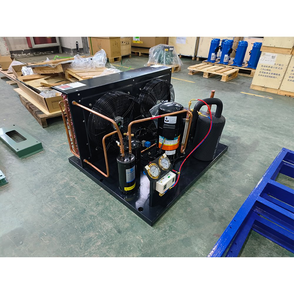 EMTH Walk in Cooler Condensing Unit Custom 2-20hp air Cooler for Cold Storage