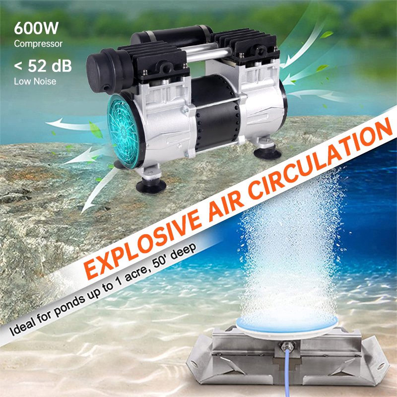 AC 110V 170LPM Small Compressor for Pond Aerato Oil Less air Compressor Used 3 Acres Lake