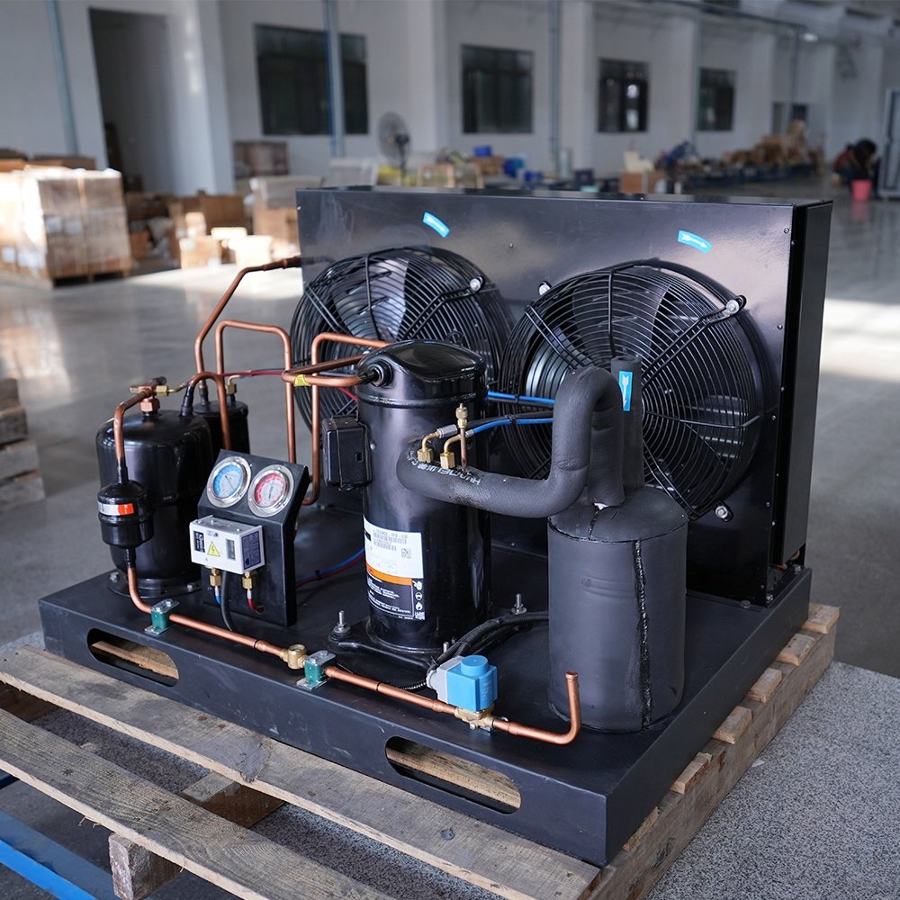 Professional 2 hp Open Type Compressor Condensing Unit for Freezer Fish Cold Room