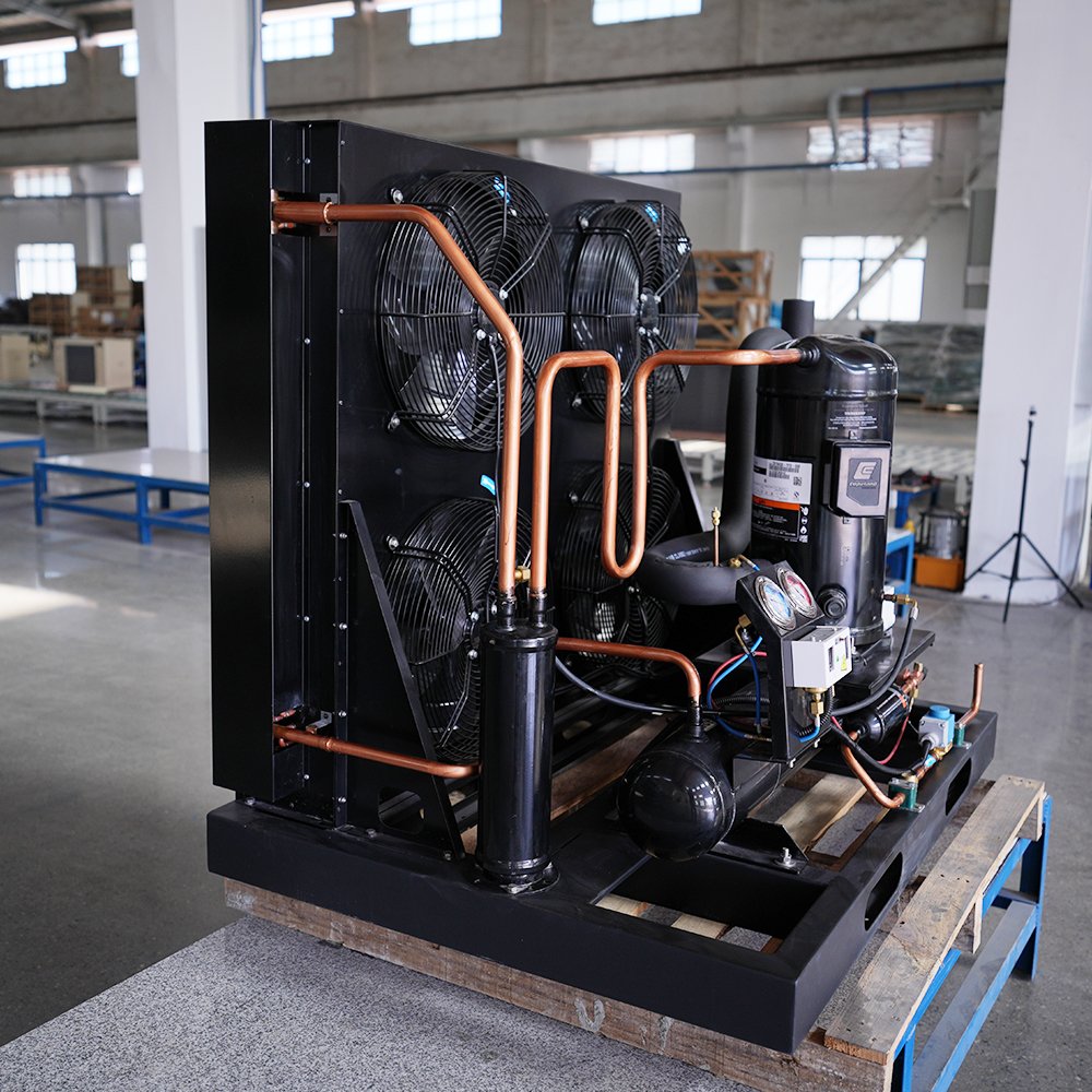 220V 60HZ 30HP Three-Phase Condensing Unit Bitzer Compressor Motor Emerson Gear Core R410A Cold Room Walk-in Freezer System