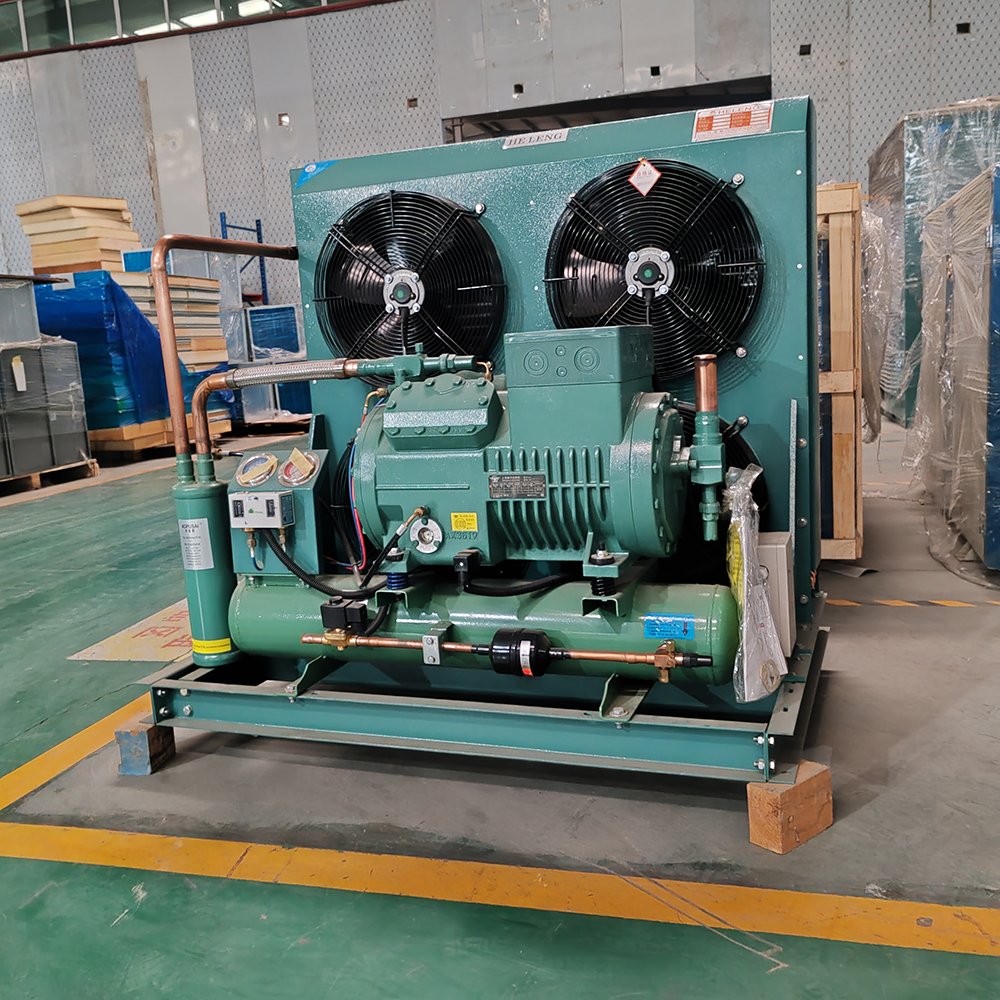 Low Temperature Refrigeration Unit Reciprocating Condensing Unit for Cold Room Air Cooled Freezing Condensing Unit 10HP 4TES-9Y