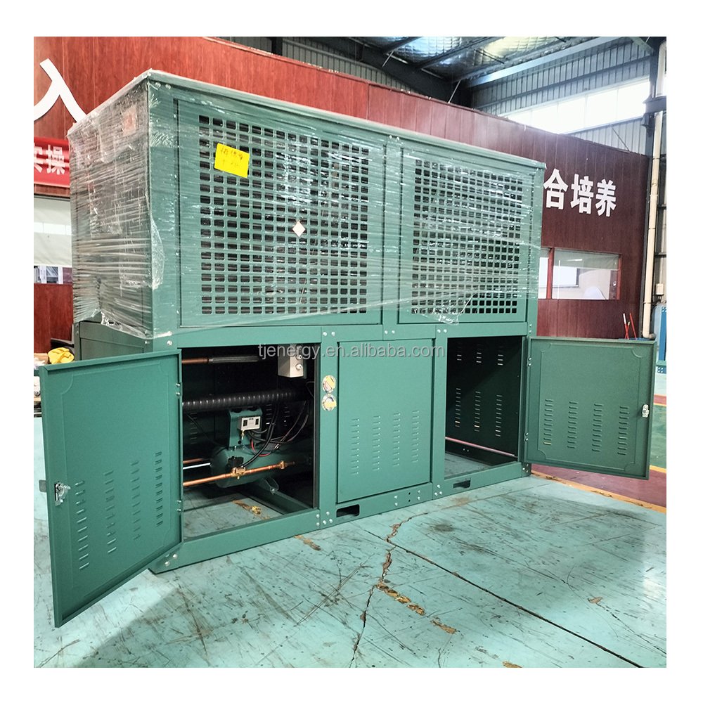 Low Temperature Refrigeration Unit Reciprocating Condensing Unit for Cold Room Air Cooled Freezing Condensing Unit 10HP 4TES-9Y