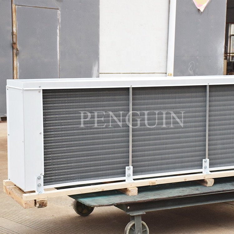 Factory Price DD DJ DL a Variety of Models Cold Storage Air Cooler Evaporator and Condenser for Cold Room