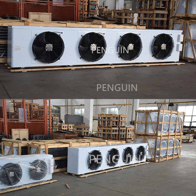 Factory Price DD DJ DL a Variety of Models Cold Storage Air Cooler Evaporator and Condenser for Cold Room