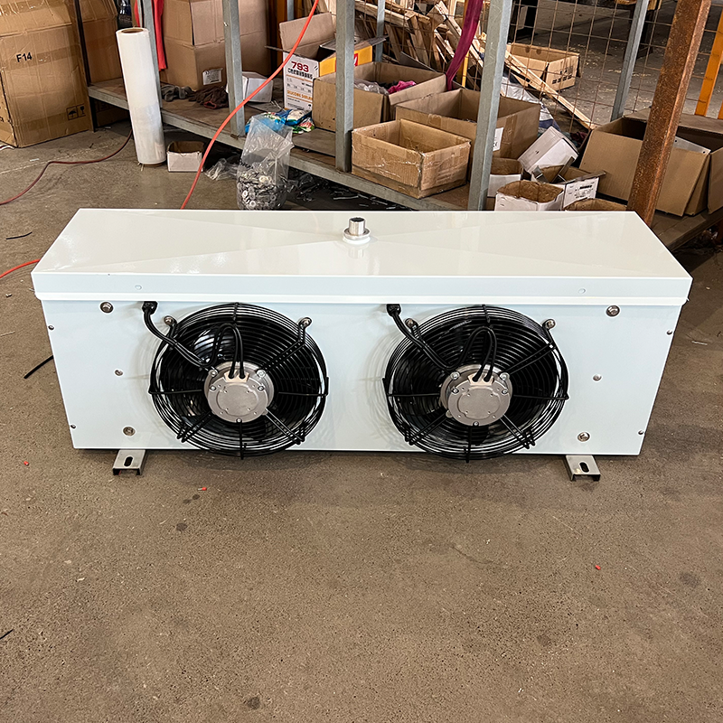 High Quality 2 Fan Air Cooler for Small Medium-Sized Industrial Low Temperature Storage Warehouses Supermarkets Condensing Units