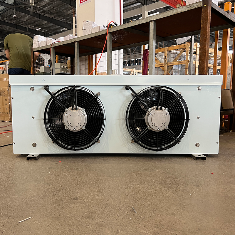 High Quality 2 Fan Air Cooler for Small Medium-Sized Industrial Low Temperature Storage Warehouses Supermarkets Condensing Units